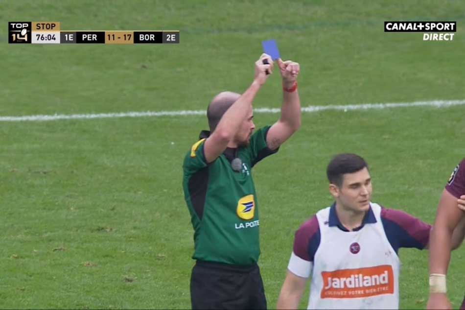 arbitre montrant un carton bleu à un joueur de rugby