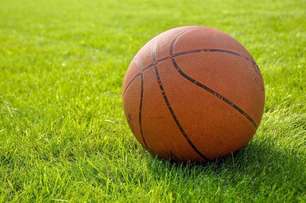 ballon basket sur pelouse
