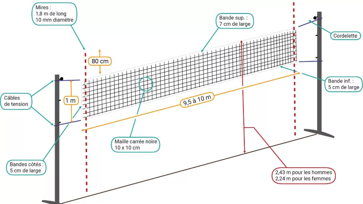 hauteur filet volley-ball