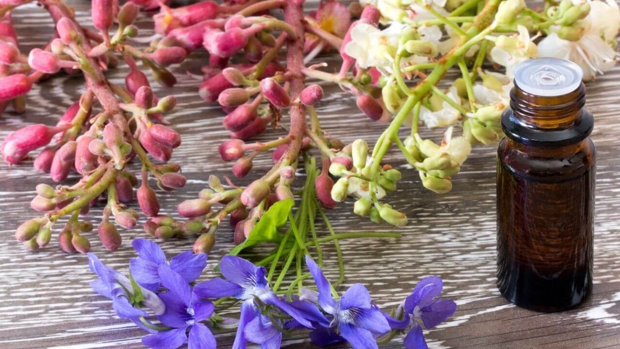 fleur de bach