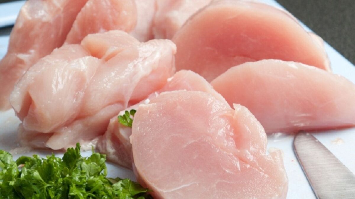 le poulet une protéine animale
